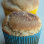 Gluten Free Donut Muffins