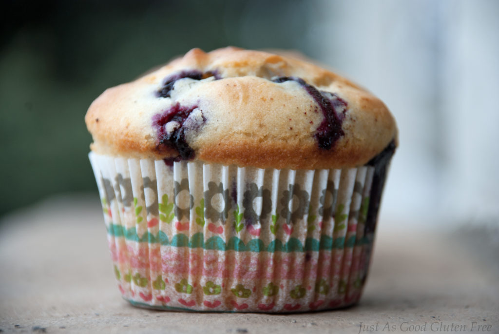 Single Gluten Free Blueberry Buttermilk Muffin