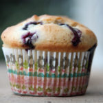 Single Gluten Free Blueberry Buttermilk Muffin