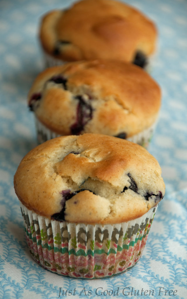 Row of 3 Gluten Free Blueberry Buttermilk Muffins