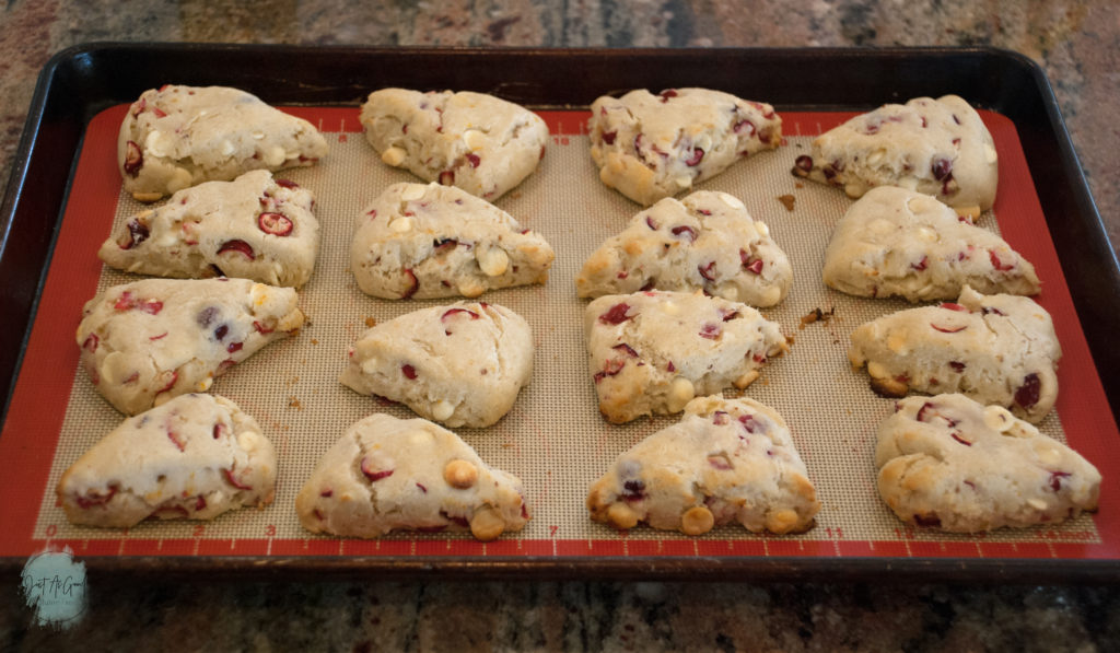 Gluten free white chocolate cranberry scone on baking sheet after bake