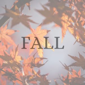 Fall