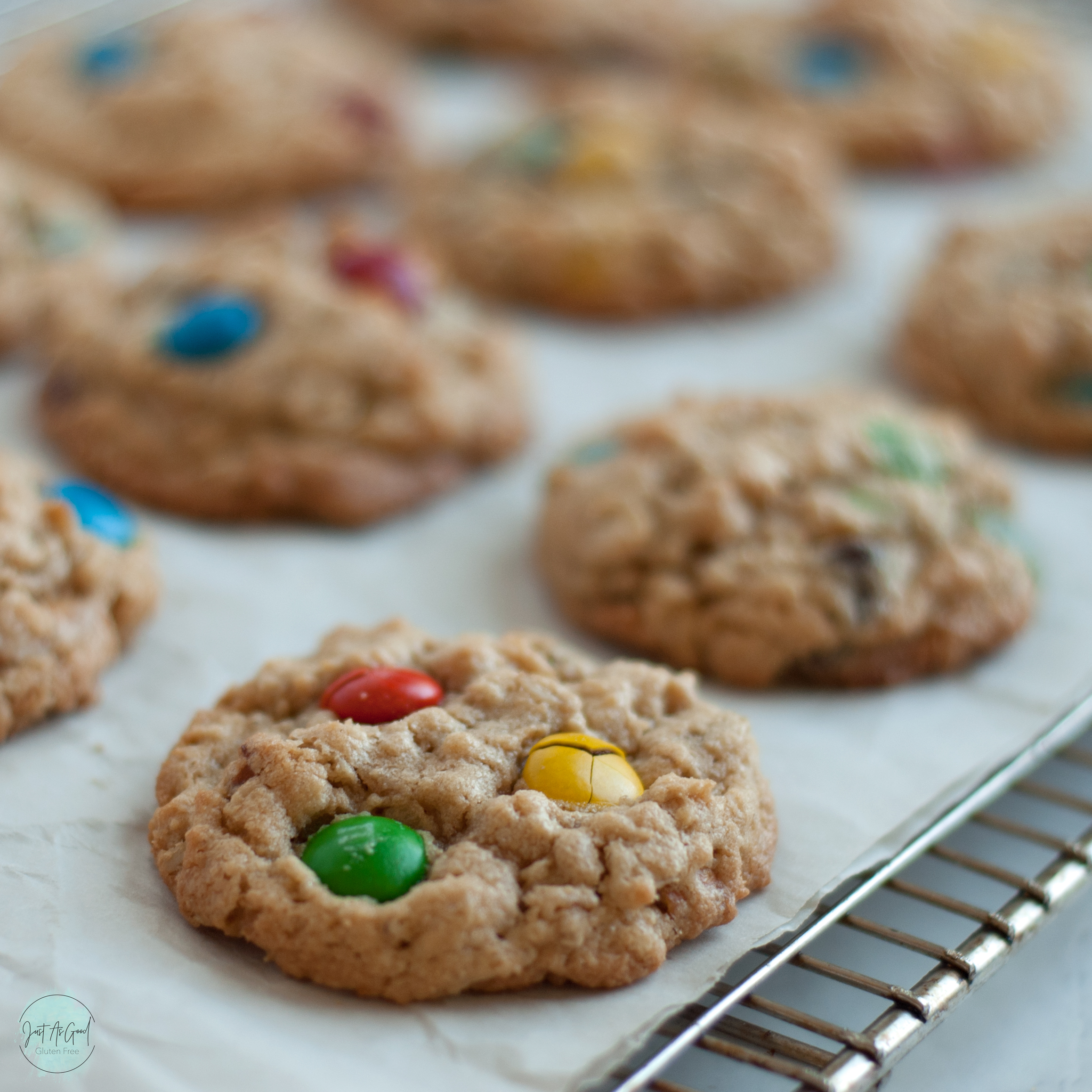 Singled-out view of gluten free monster cookie on rack